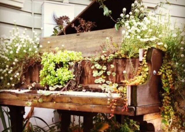 A photo of a wooden bench with moss and small flowers growing on it.