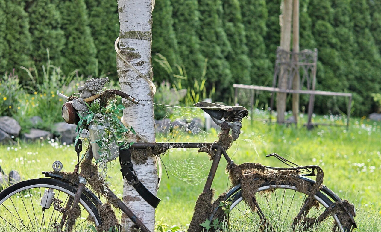 A photo of a rusty bicycle tied to a birch tree in a green meadow. The bike is overgrown and hass moss on it.