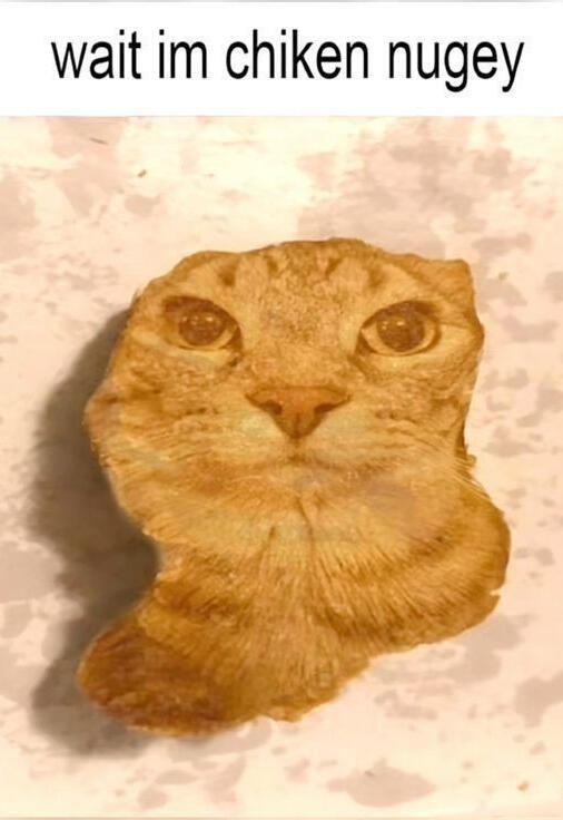 An edited photo of a cat's face superimposed over a singular chicken nugget. The caption reads "wait im chiken nugey".
